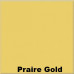 CONCRETE FLOOR PAINT: Praire Gold CONCRETE FLOOR PAINT: Praire Gold