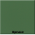  Spruce